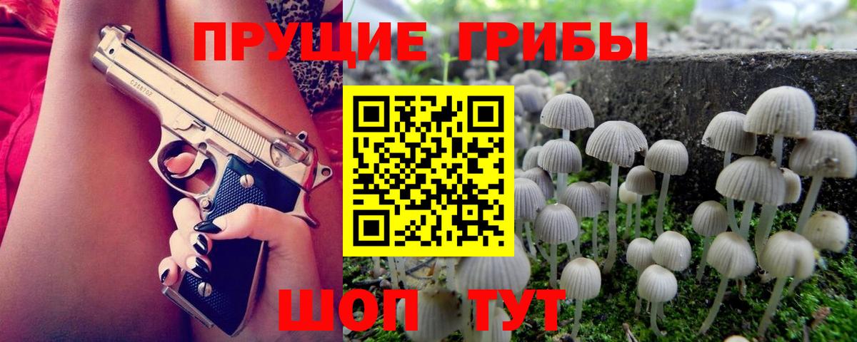 Дербент  Псилоцибиновые грибы GOLDEN TEACHER  Вход с VPN  Галлюциногенные грибы мицелий 